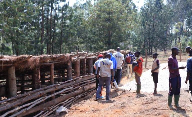 Elevage de porcs à Bururi et Mwaro : PAEEJ donne des directives pour rentabiliser les projets.